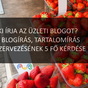 Céges blog készítés
